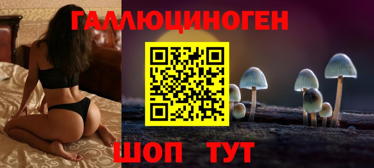Псилоцибиновые грибы MAGIC MUSHROOMS  Галлюциногенные грибы Magic Shrooms  Екатеринбург  Вход с VPN 